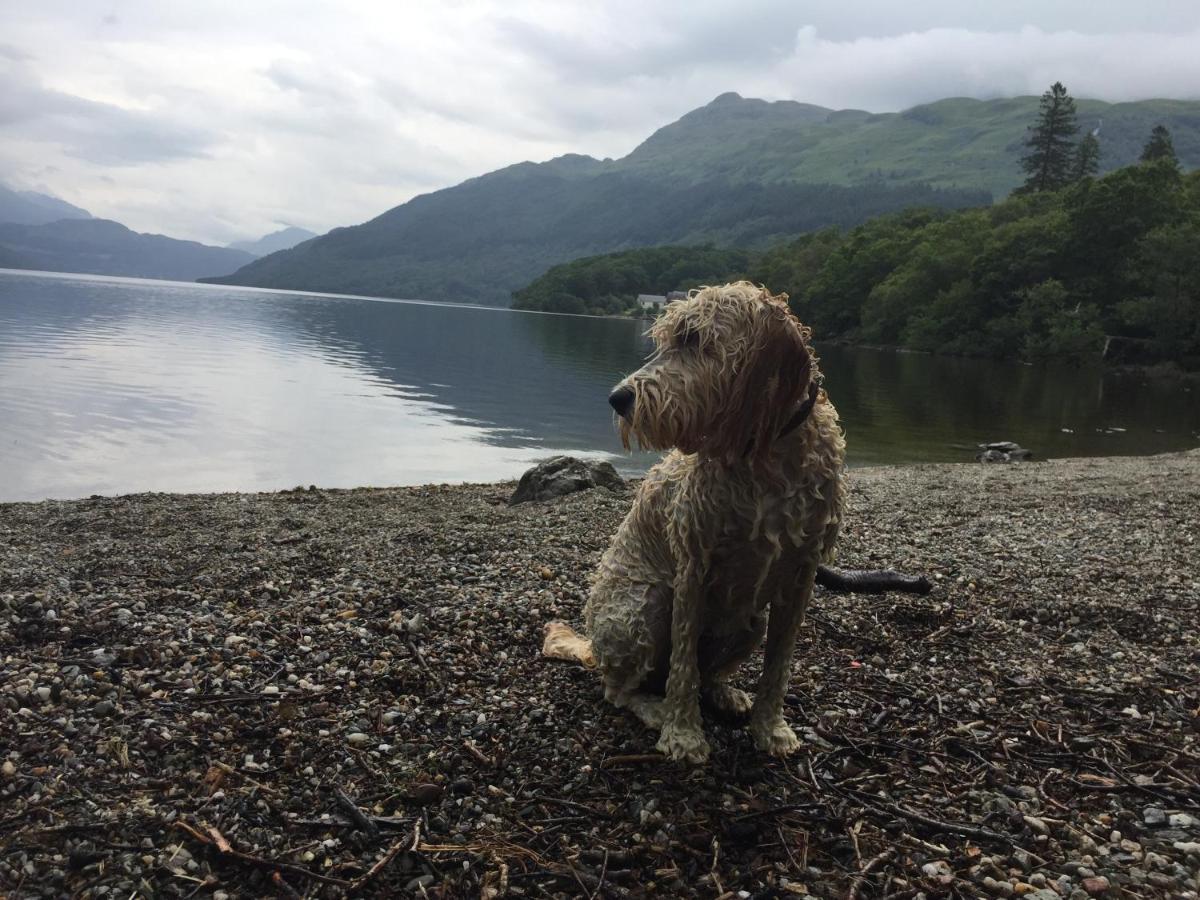 Ben Lomond Lodge Rowardennan Exterior foto